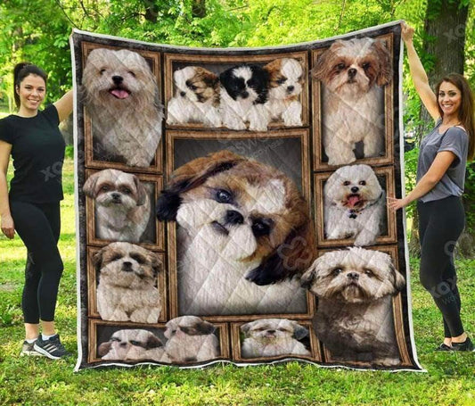 Shih Tzu CL05100086MDQ Quilt Blanket