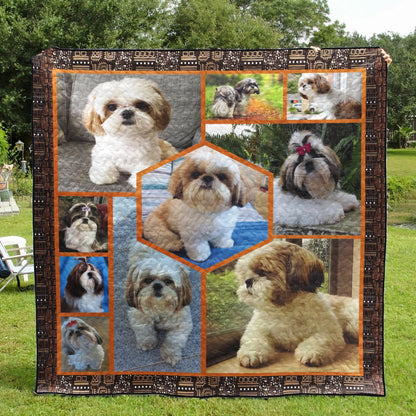 Shih Tzu CLA0810426Q Quilt Blanket