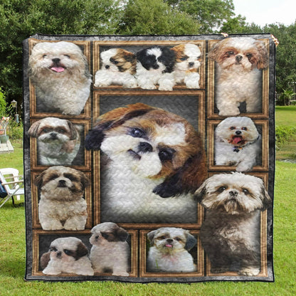 Shih Tzu CLA0810427Q Quilt Blanket