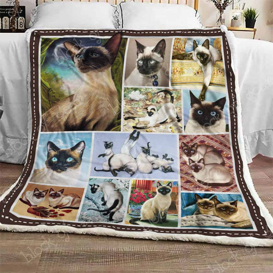 Siamese Cat CL0210183MDF Sherpa Fleece Blanket