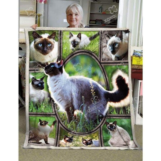 Siamese Cat CL05100484MDF Sherpa Fleece Blanket