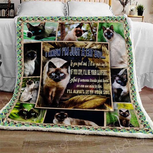 Siamese Cat CL301259MDF Sherpa Fleece Blanket