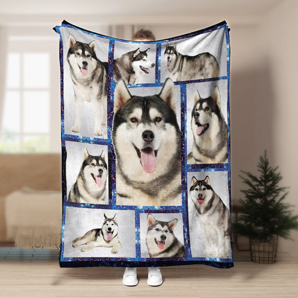 Siberian Husky CLA21101034F Sherpa Fleece Blanket