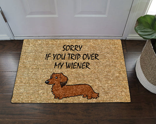 Sorry If You Trip Over My Wiener CLA1710132D Non-slip Door mats