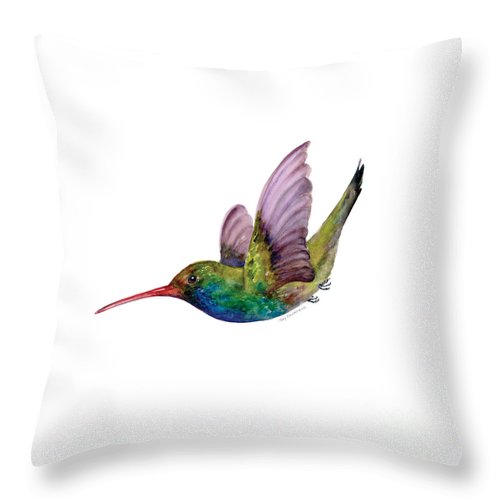 Swooping Broad Billed Hummingbird CLH18100860P Throw Pillow Covers