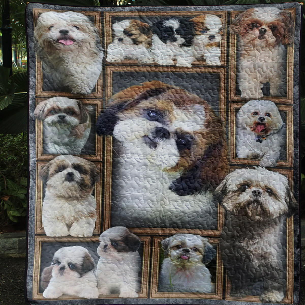 Shih Tzu CLA0810427Q Quilt Blanket