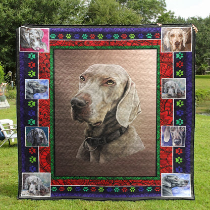 Weimaraner CLA3010064Q Quilt Blanket