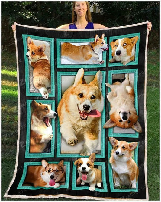 Welsh Corgi CLM1110198S Sherpa Fleece Blanket