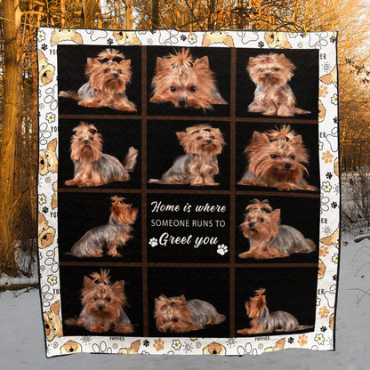 Yorkie CLH0511755Q Quilt Blanket