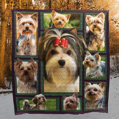 Yorkshire Terrier Beauty CLA2911040Q Quilt Blanket