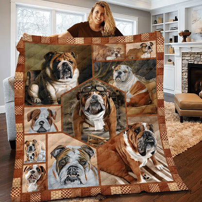 Bull Dog Quilt Blanket HT291002